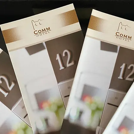 호텔 Comm Airport 포즈난